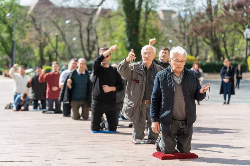 2025_04_05_terden allo rozsafuzer_60.jpg